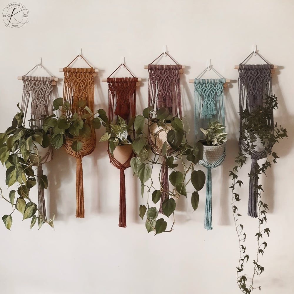 Image of Wall Plant Hanger