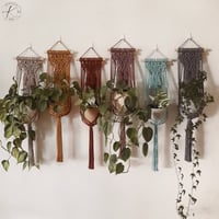 Image 1 of Wall Plant Hanger