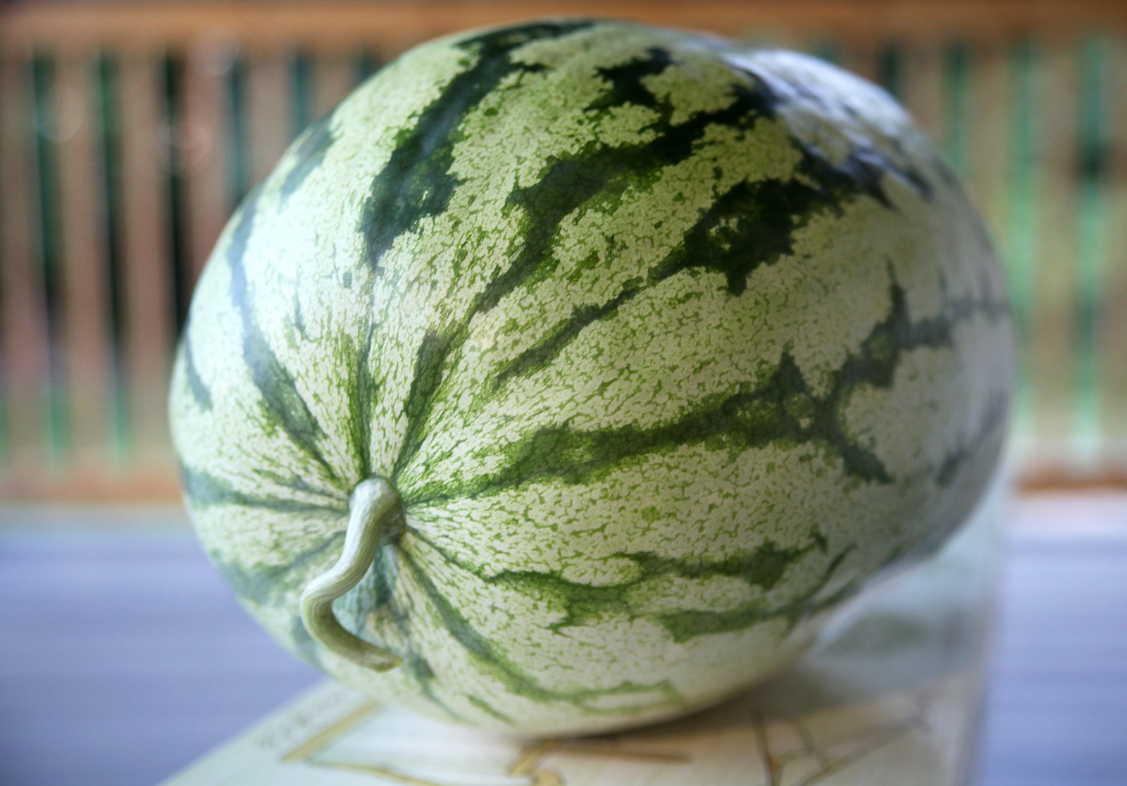 heirloom watermelon