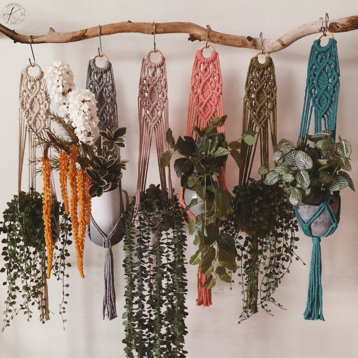 Image of Divine Plant Hanger