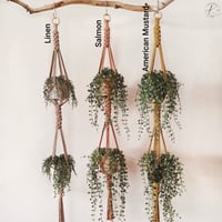 Image 2 of Double Crown Plant Hanger