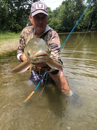 Image 5 of Mojo Mulberry