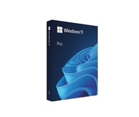 Microsoft Windows 11 Pro