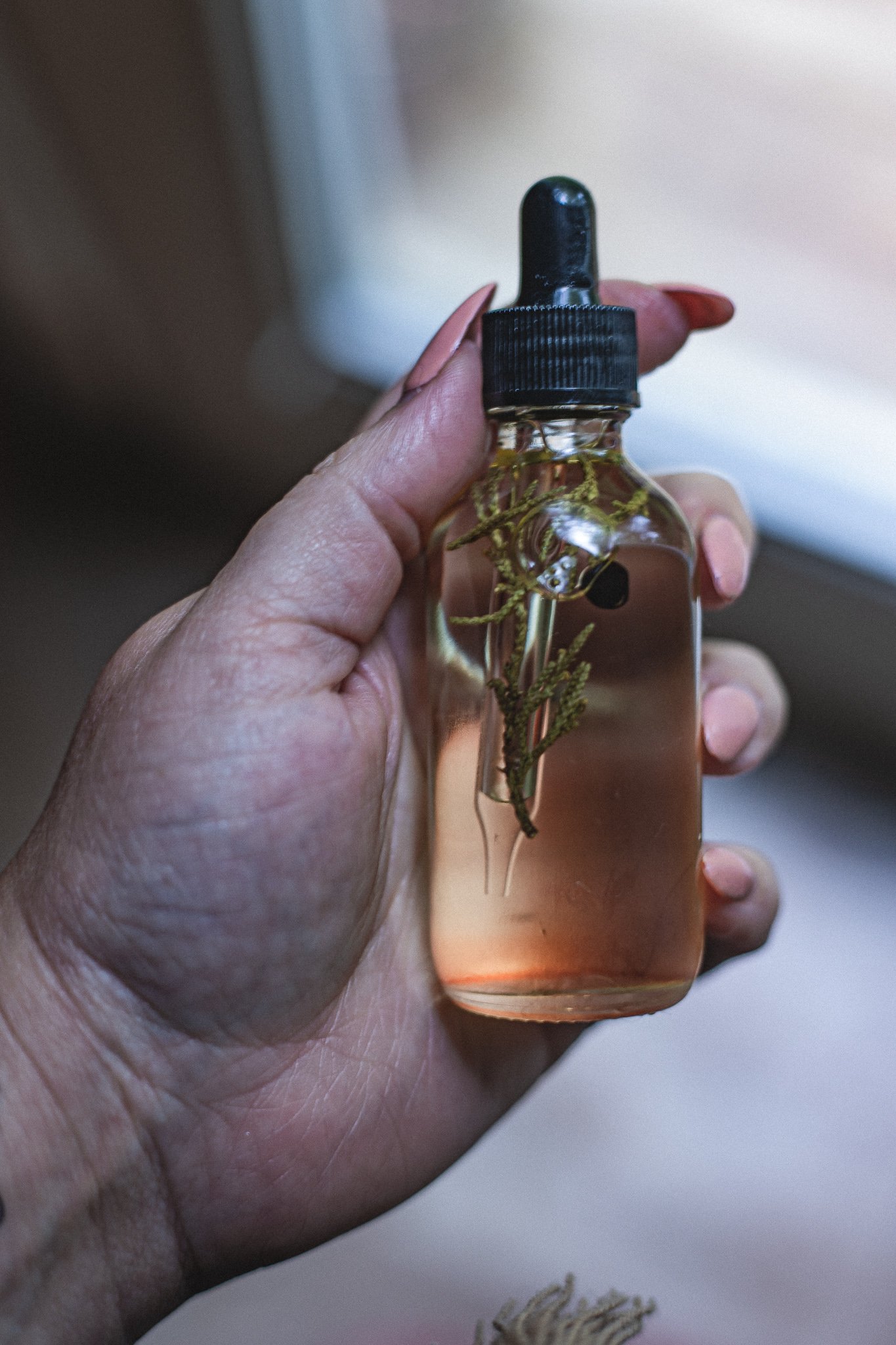 Image of Into The Forest Body Oil