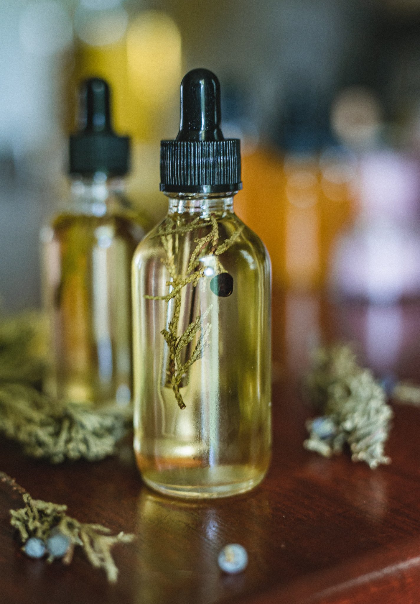Image of Into The Forest Body Oil