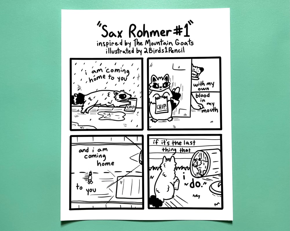 Image of Raccoon and possum comic print - inspired by lyrics by the Mountain Goats