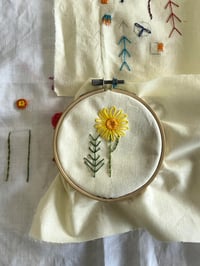 Botanical Embroidery Workshop - Sun 4 Sept, 2-3:30pm