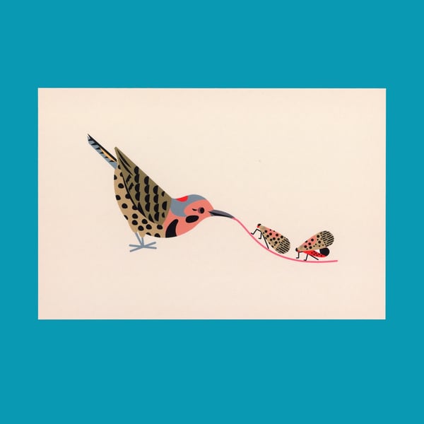Image of Northern Flicker & Lanternflies Postcard Print