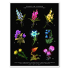 Flowers of Hyrule print