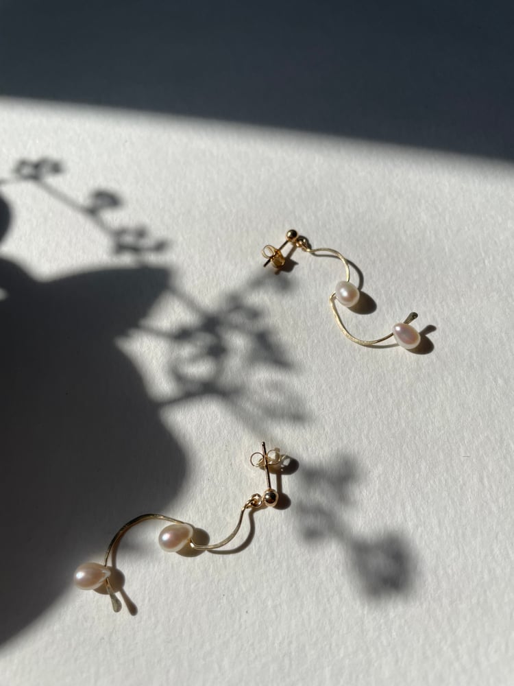 Image of Droplet earrings