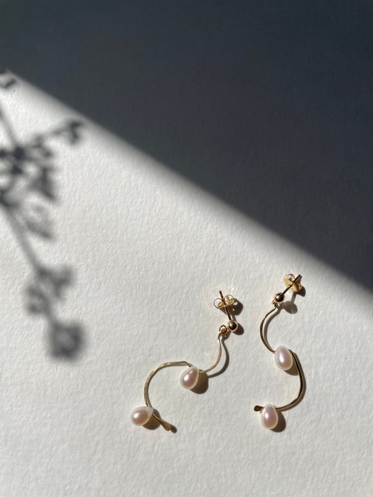 Image of Droplet earrings