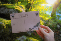 Image 2 of The Wandering Post Card