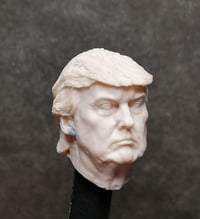 Image 3 of 046  DOLAN TRUMP