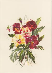 Posy of pansies