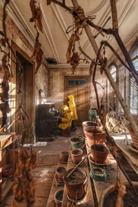 Image 1 of Flower´s Pianist