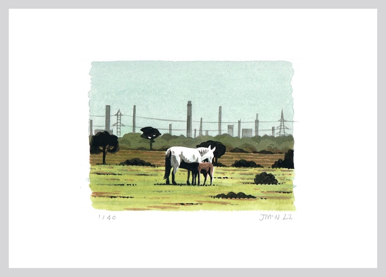 Image of New Forest Ponies - Giclee Print