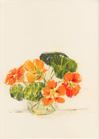 Jam jar of nasturtiums no. 2