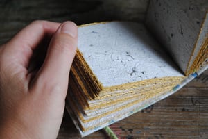 Audra - Carnet reliure belge - papier artisanal de lichen