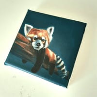Image 2 of Red Panda