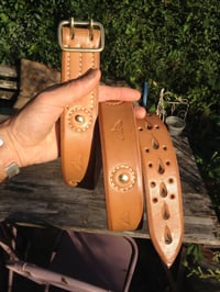 Image 3 of ‘Punjab~Saturn’ Belt