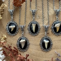 Image 3 of Shark Tooth Necklace