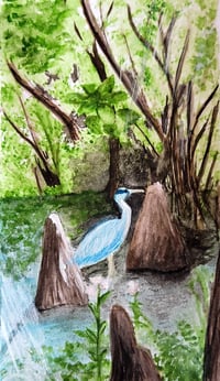 Heron