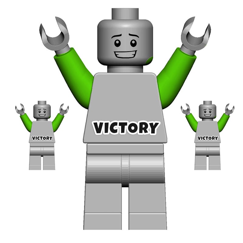 VICTORY Pose Crazy Arms - NEW!