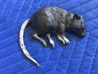 Image 3 of Dead Rat