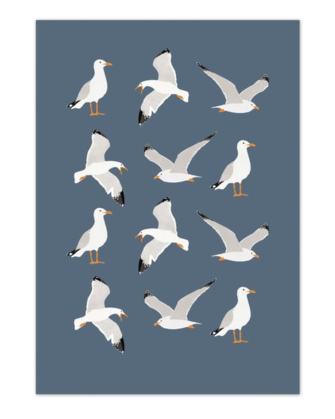 Image of Alright Bird - Herring Gulls