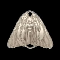 Image 1 of MOTH Brooch - Mirror or Black