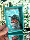 Ruby-throated Hummingbird Box