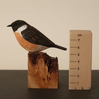 Image 2 of Stonechat