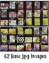 Gel Print Photo Set 006