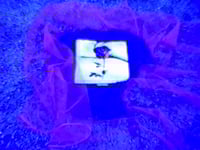Image 3 of ROSE T-SHIRT