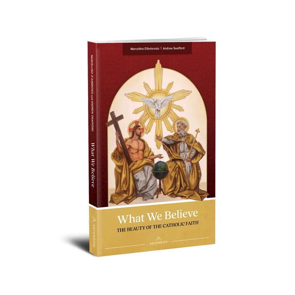 Image of What We Believe: The Beauty of the Catholic Faith Book 