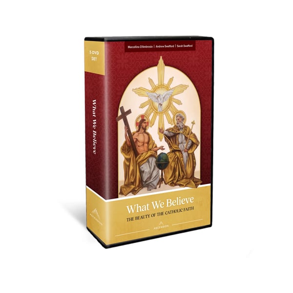 Image of What We Believe: The Beauty of the Catholic Faith DVD