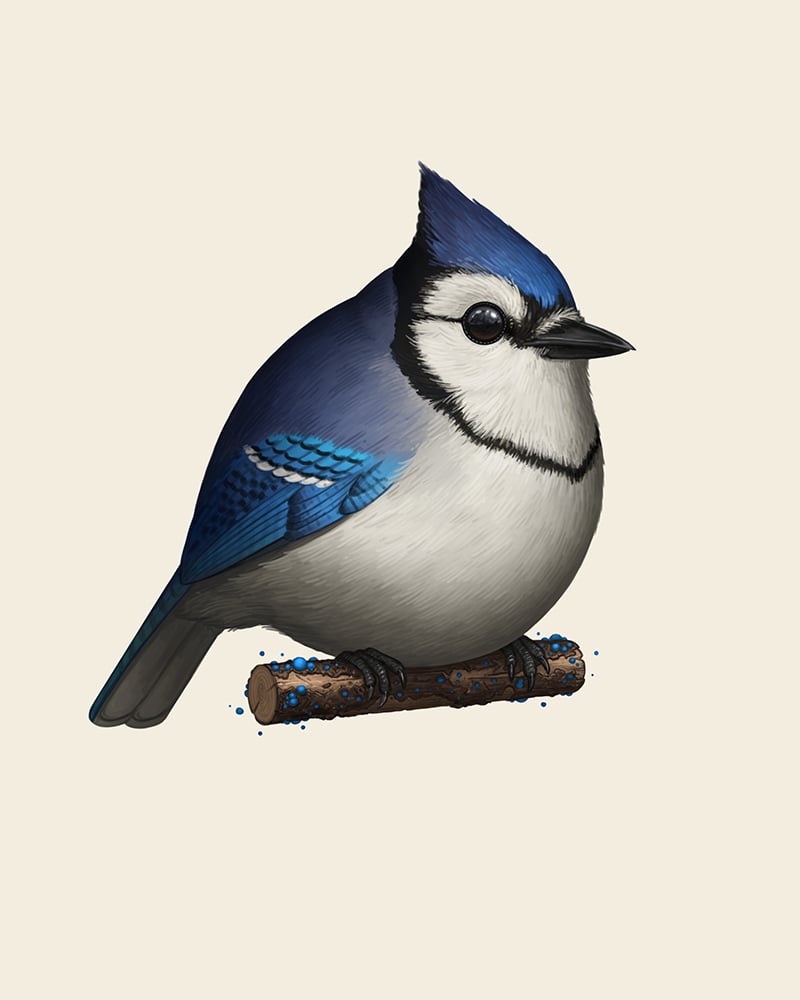 Image of Blue Jay II