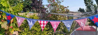 Image 5 of Named bunting