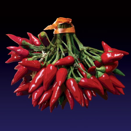 Image of I pipareddi rrussi (Red chillies) print - 2022 edition 