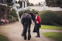 Cruden Farm Equine Photography Masterclass 