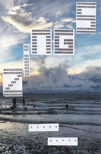 Image 1 of Zings (#1)