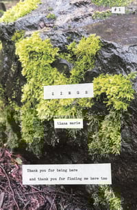 Image 2 of Zings (#1)