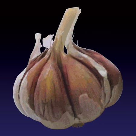 Image of L’àgghia (Garlic) print - 2022 edition