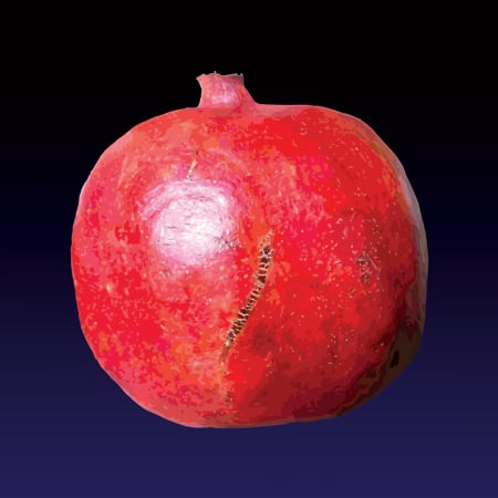 Image of U granatu (Pomegranate) print - 2022 edition