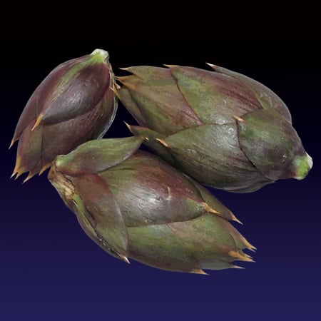 Image of l cacocciuliddi (Baby artichokes) print - 2022 edition