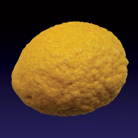 Image of U pipittuni (Citron) print - 2022 edition