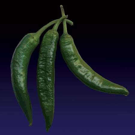 Image of I pipareddi virdi (Green chillies) print - 2022 edition 