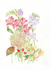 Mixed Floral Bouquet - Original Watercolour