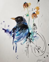 Image 1 of Blackbird
