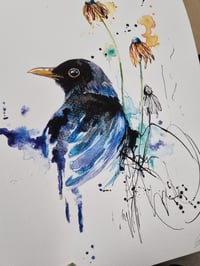 Image 2 of Blackbird